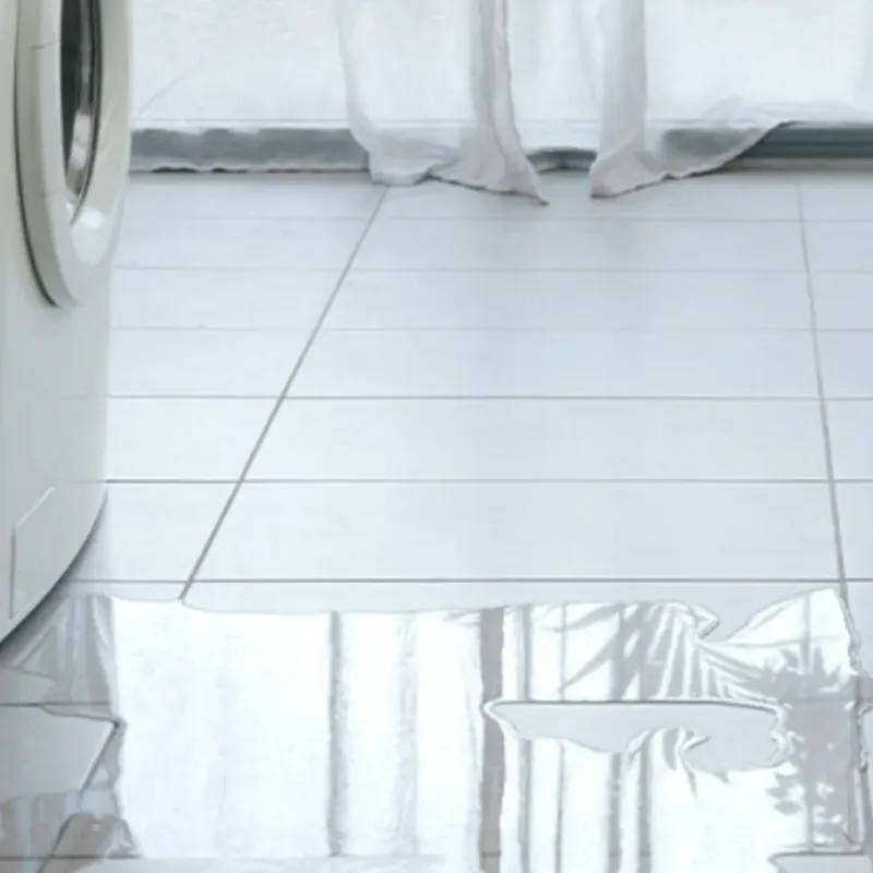Appliance Leak Cleanup in Mankato, MN