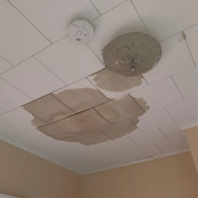 Ceiling Water Damage Repair in Mankato, MN